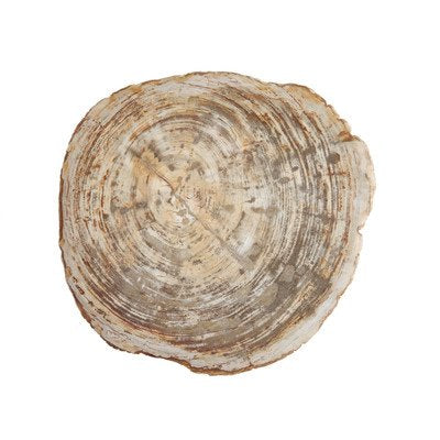 D&V Petrified Slice Platter - 16 inches