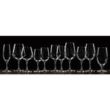 D&V Valore Lead Free, Break-Resistant, European Crystal Glass, 17 Ounce, Set of 6