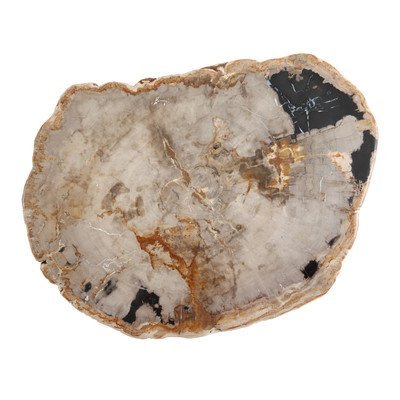 D&V Serveware Petrified Wood Platter - 20 inches